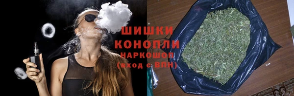 ГАЛЛЮЦИНОГЕННЫЕ ГРИБЫ Абаза