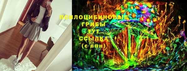 ПСИЛОЦИБИНОВЫЕ ГРИБЫ Алзамай
