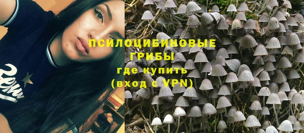 ГАЛЛЮЦИНОГЕННЫЕ ГРИБЫ Абаза