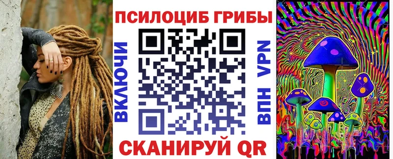 Галлюциногенные грибы Psilocybe  Сальск 